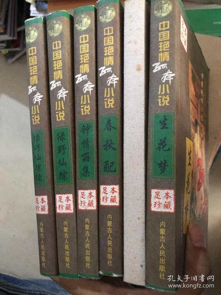 中国艳情孤本小说（全六册）