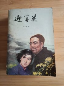 迎春花 精美插画