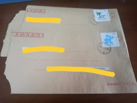 实寄封2枚，贴2007-31特种邮票各一款(2封2款齐)