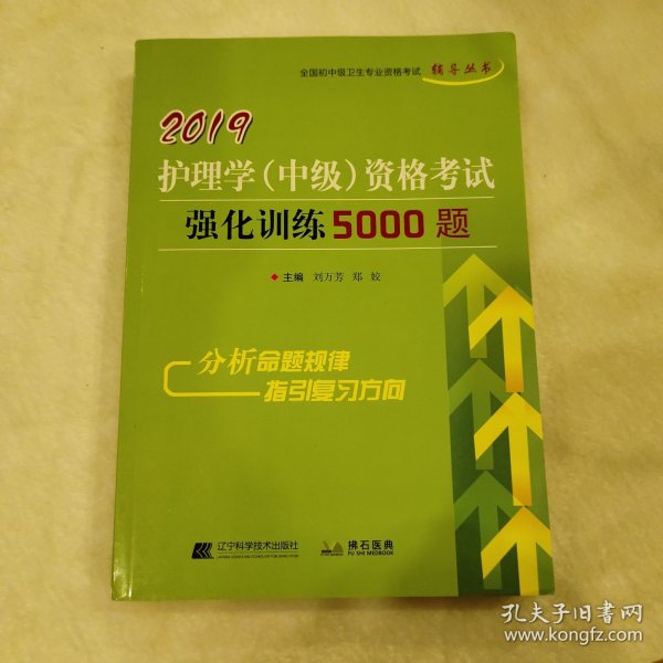 2019护理学（中级）资格考试强化训练5000题