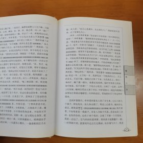 儒林外史：中国古典文学名著