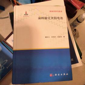 纳米科学与技术：染料敏化太阳电池