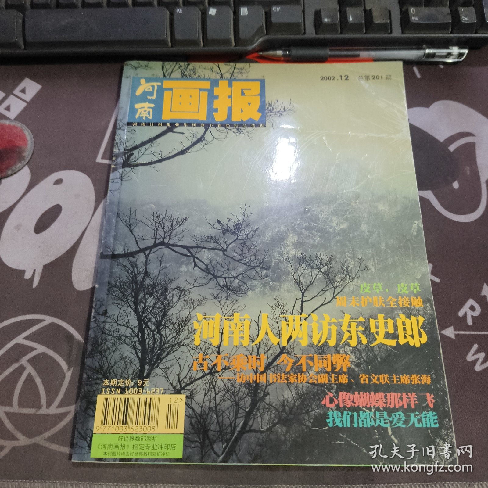 河南画报.2002年12期总 201期