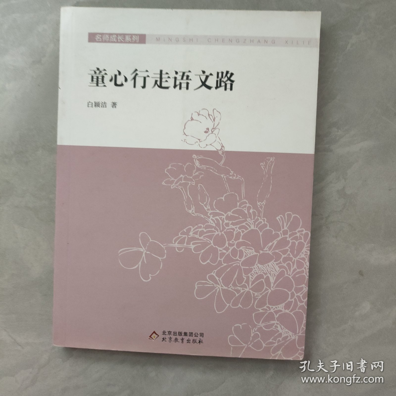童心行走语文路