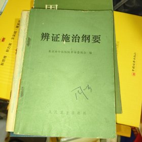 辨证施治纲要