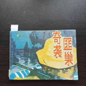 奇袭匪巢