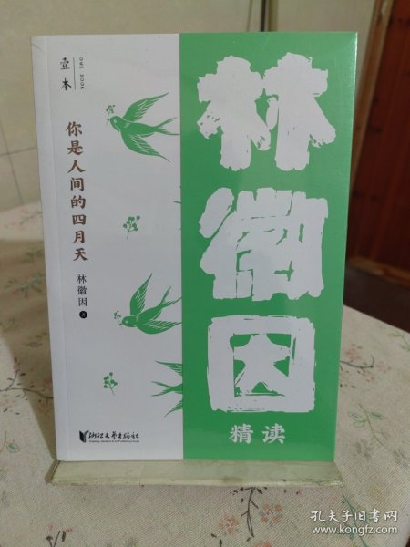 你是人间的四月天：林徽因精读（壹本系列）