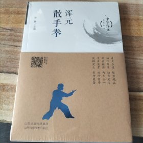 浑元散手拳