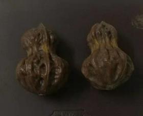 葫芦形状的核桃一对