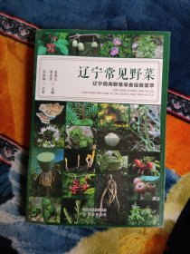 辽宁常见野菜——辽宁民间野菜采食经验荟萃 2017年一版一印