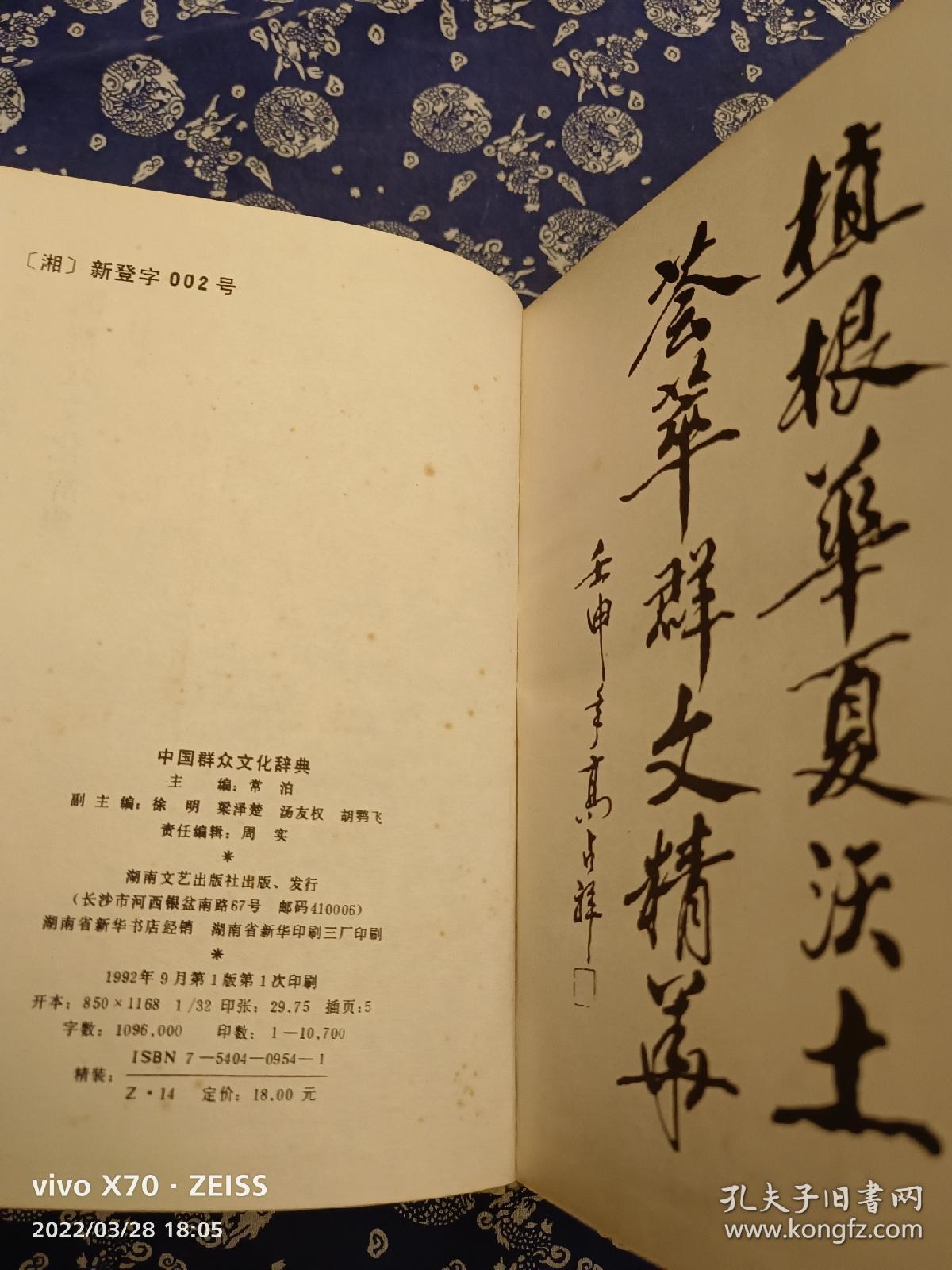中国群众文化辞典