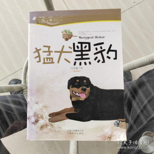 猛犬黑豹/蒲公英感动丛书