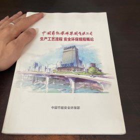 中国节能环保集团有限公司生产工艺流程安全环保规程概论