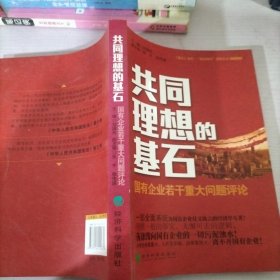 共同理想的基石：国有企业若干重大问题评论