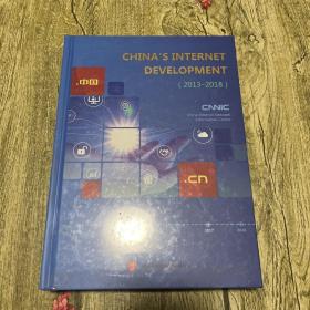 中国互联网络发展状况（2013-2018）英文版