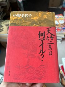 天竺までは何マイル? 中野美代子