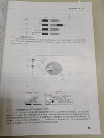 甲状腺病理诊断