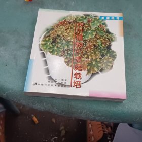 观叶植物的家庭栽培