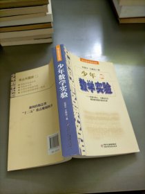 中国科普名家名作 院士数学讲座专辑-少年数学实验