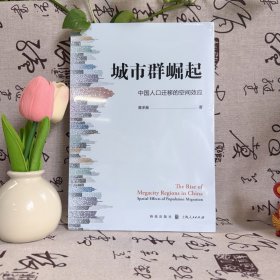 城市群崛起:中国人口迁移的空间效应 潘泽瀚 著 格致出版社