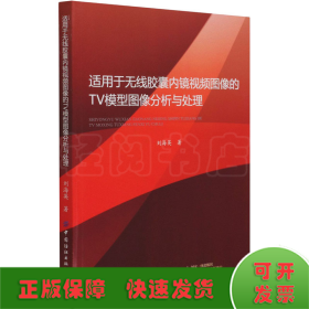 适用于无线胶囊内镜视频图像的TV模型图像分析与处理