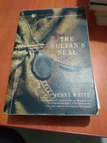 The Sultan's Seal: A Novel (Kamil Pasha Novels)
