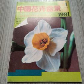 中国花卉盆景1991 1