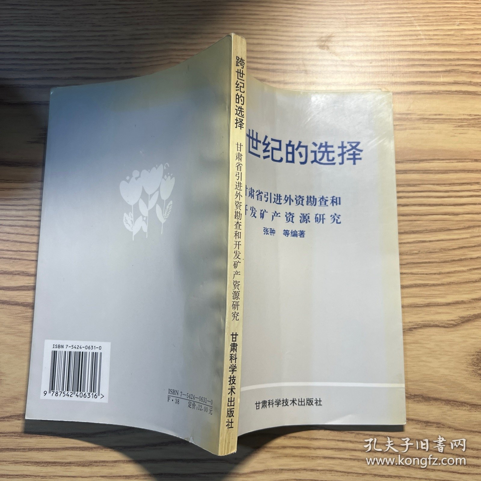 跨世纪的选择:甘肃省引进外资勘查和开发矿产资源研究