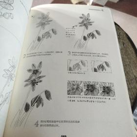 从零起步学素描植物