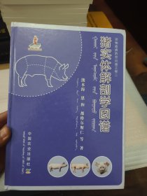 猪实体解剖学图谱 【中文＋蒙文】