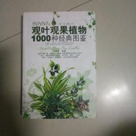 观叶观果植物1000种经典图鉴