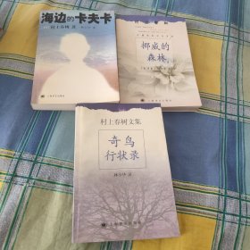 村上春树文集《舞！舞！舞》《再袭面包店》《寻羊冒险记》《一九七三年的弹子球》《奇鸟行状录》《斯普特尼克恋人》《挪威的森林》《海边的卡夫卡》《国境以南太阳以西》《遇到百分之百的女孩 再袭面包店 一九七三年的弹子球》