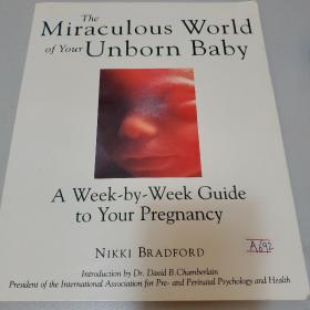 The Miraculous World of Your Unborn Baby the Mir
