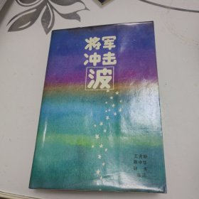 将军冲击波:全国优秀企业家报告文学精选