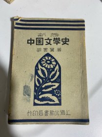 新著中国文学史