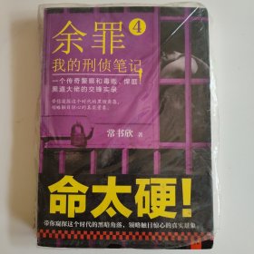 余罪4：我的刑侦笔记