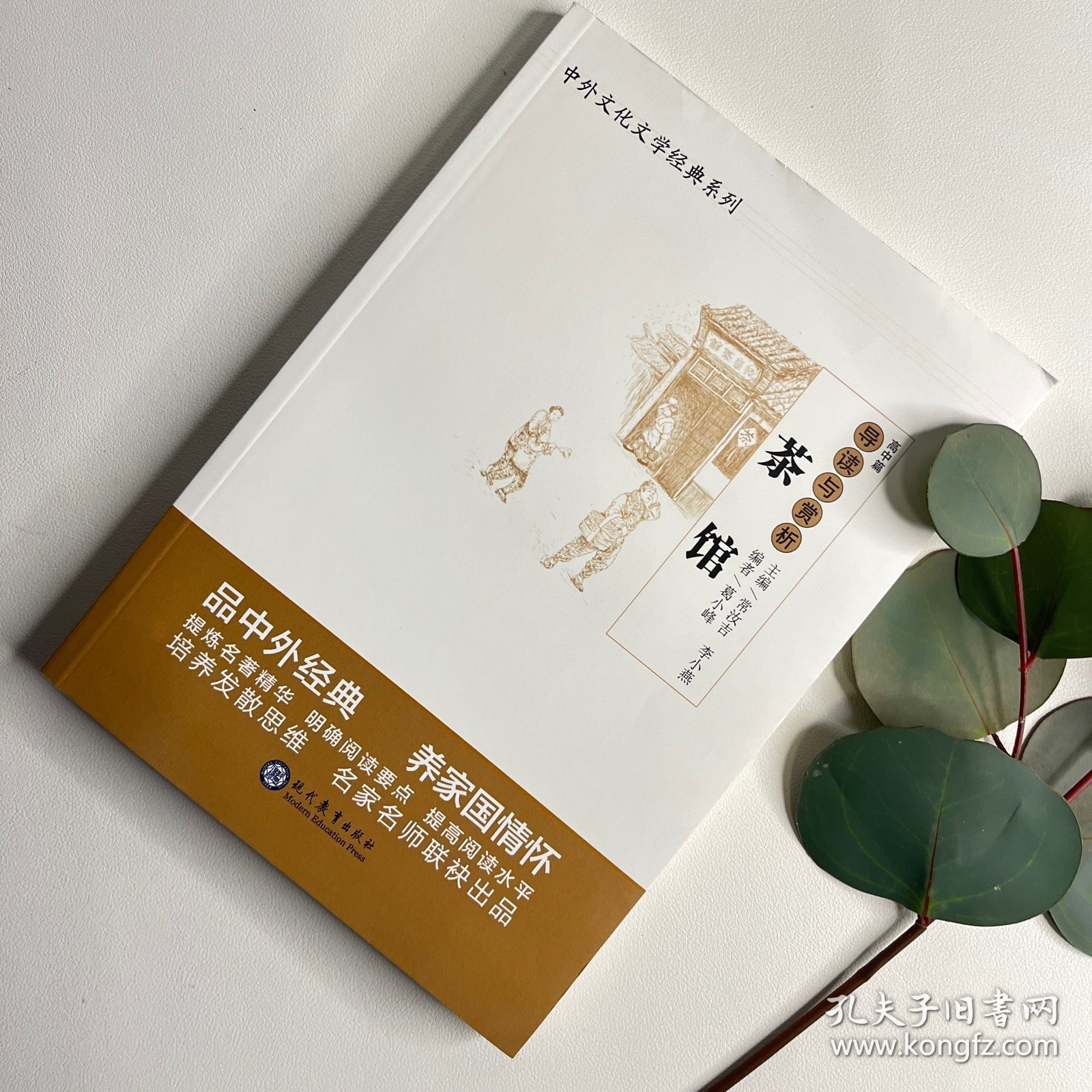 茶馆导读与赏析/中外文化文学经典系列