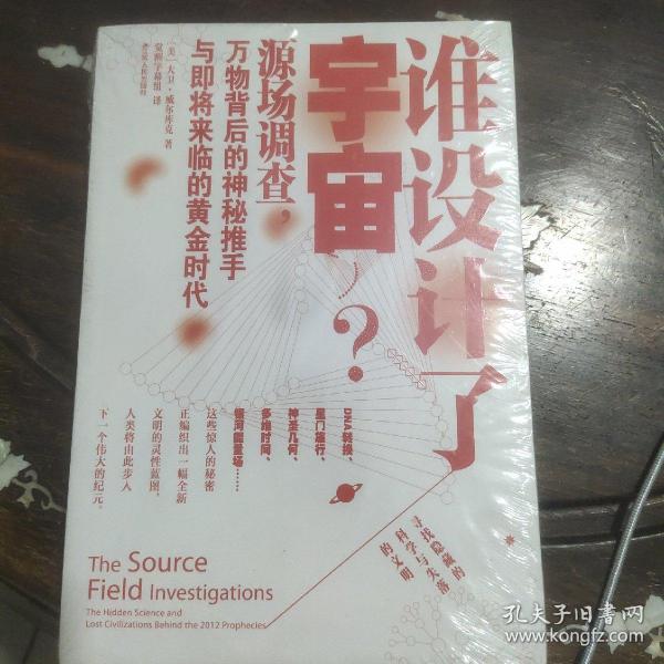 谁设计了宇宙?：源场调查：万物背后的神秘推手与即将来临的黄金时代