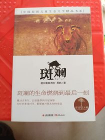 青青望天树 中国原创儿童生态文学精品书系 斑斓