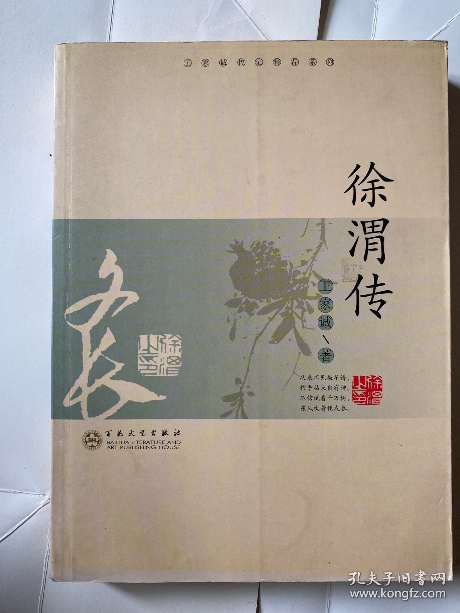 徐渭传（王家诚传记精品系列）