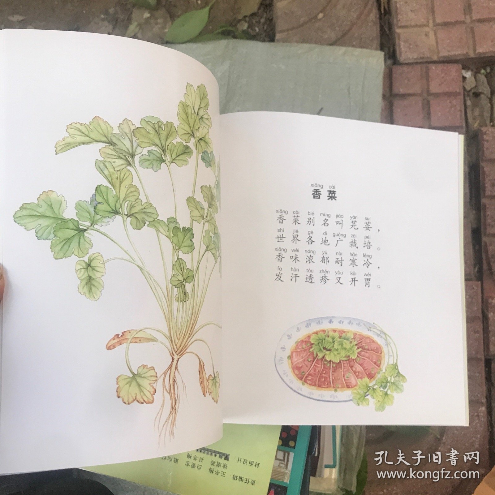食育儿歌（调味篇1）/儿童食育系列之儿歌绘本