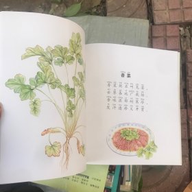 食育儿歌（调味篇1）/儿童食育系列之儿歌绘本