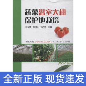 蔬菜溫室大棚保護(hù)地栽培
