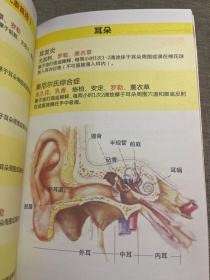 现代精油葵花宝典