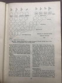 植物分类 （植物学大家朱彦丞藏书）外文版植物学、PLANT CLASSIFICATON LYMAN BENSON 精装16开688页厚本"