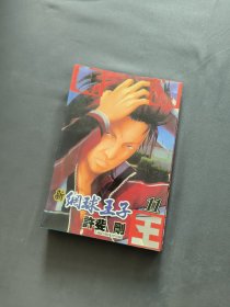 《新网球王子》卷11