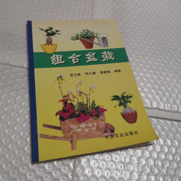 组合盆栽