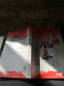 2009金融风暴下的中国