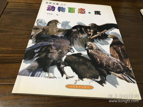 动物摄影图片资料书籍 鹰篇 画家摄影家美术创作资料用书