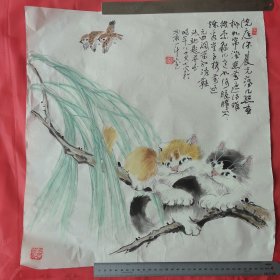 著名画家张弛 被誉为当代“猫王” 武汉工业大学教授 （尺寸48cm×45cm）